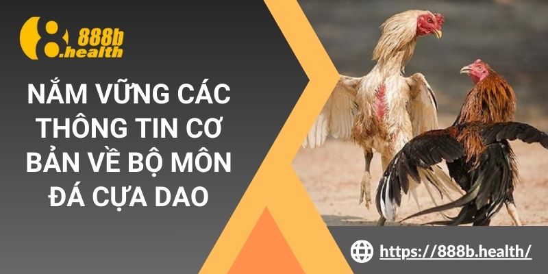 Nắm vững các thông tin cơ bản về bộ môn đá cựa dao