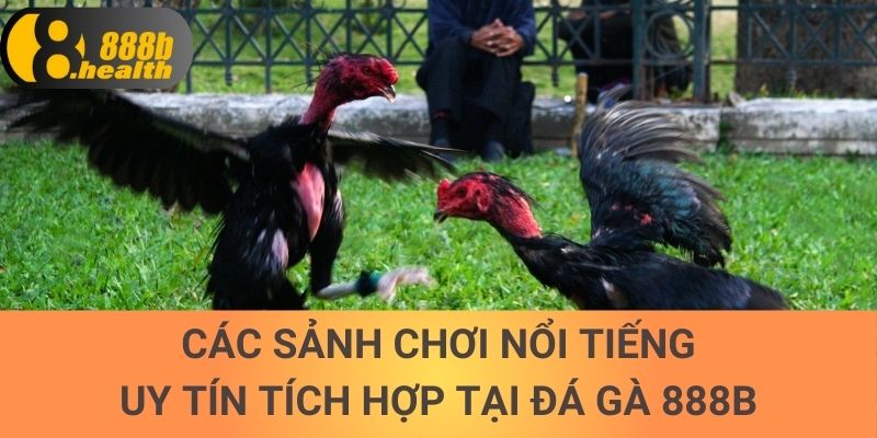 Các sảnh chơi nổi tiếng, uy tín tích hợp tại đá gà 888b