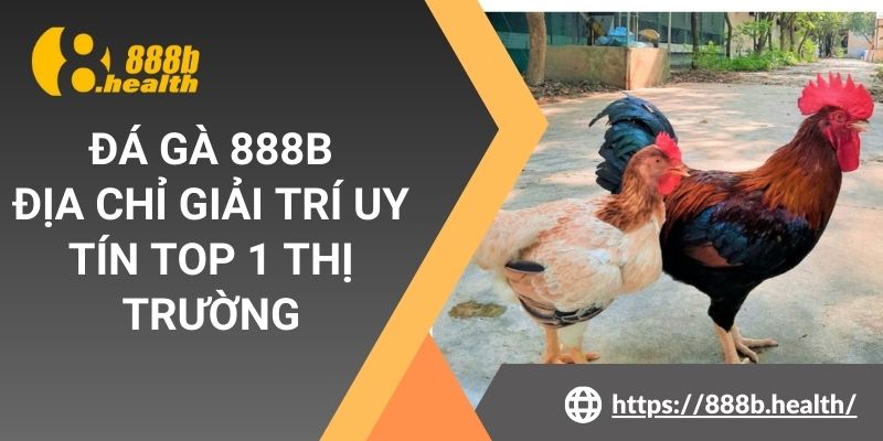 Đá Gà 888b- Địa Chỉ Giải Trí Uy Tín Top 1 Thị Trường