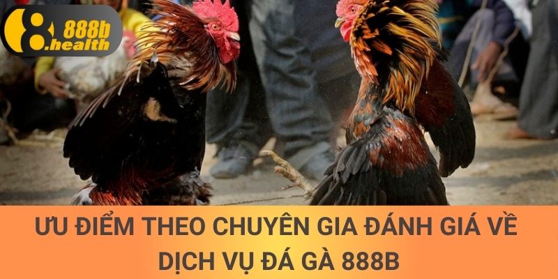 Ưu điểm theo chuyên gia đánh giá về dịch vụ đá gà 888b